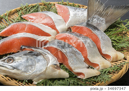 北海道の鮭 34697347