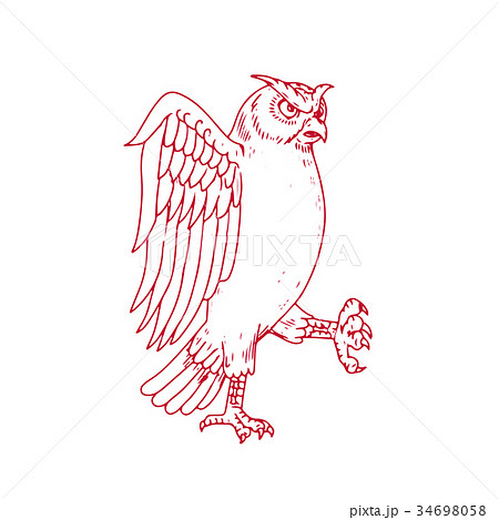 Great Horned Owl Marching Drawing Great Horned Owl Marching Drawing 34698058