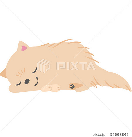 寝ている犬 ポメラニアン のイラスト素材