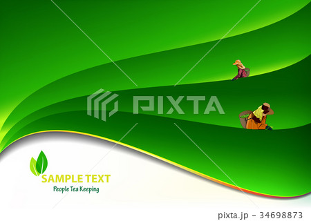 People keep tea leaves vectors 34698873