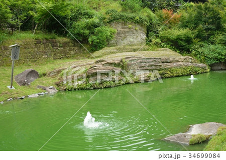 円覚寺　妙香池と虎頭岩 34699084