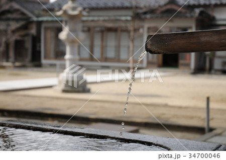 山王日枝神社の手水 山王日枝神社の手水 34700046