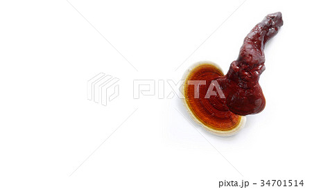 Red ganoderma on white background Red ganoderma on white background 34701514