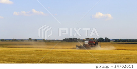 Harvest 34702011