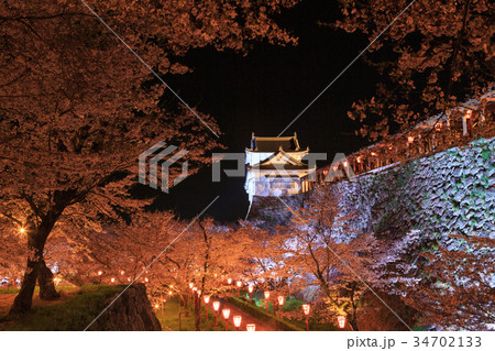 津山城 -夜桜・ライトアップ- 34702133