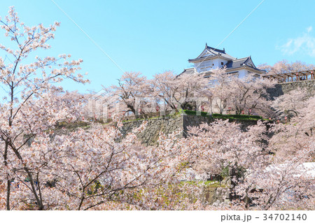 津山城 -春爛漫感動の桜- 34702140