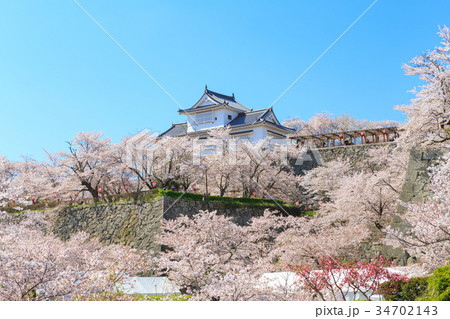 津山城 -春爛漫感動の桜- 34702143