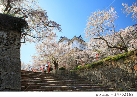 津山城 -春爛漫感動の桜- 34702168