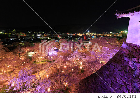 津山城 -夜桜・ライトアップ- 津山城 -夜桜・ライトアップ- 34702181