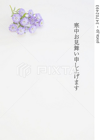 寒中見舞いハガキ（孔雀草） 34702493