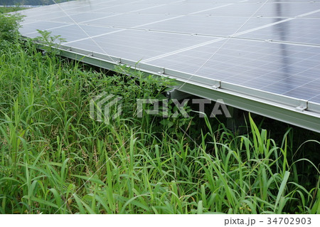 雑草に覆われた太陽光発電所 34702903