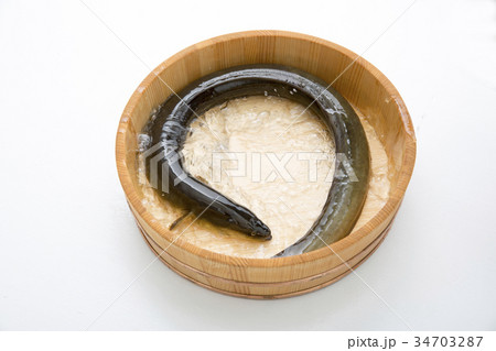 大ウナギ 34703287