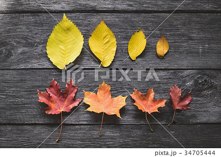 Fallen leaves on wooden background Fallen leaves on wooden background 34705444
