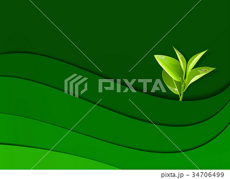 leaf background leaf background 34706499