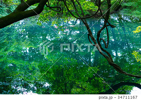 丸池様 丸池様 34711167