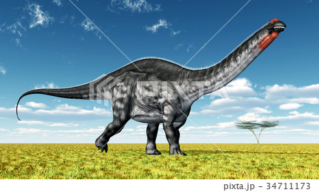 Dinosaur Apatosaurus Dinosaur Apatosaurus 34711173