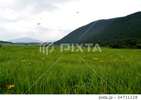 タデ原湿原（ラムサール条約湿地） 34711228
