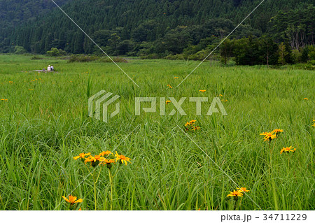 タデ原湿原（ラムサール条約湿地） 34711229