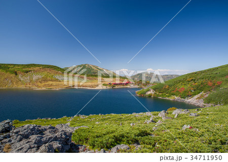 紅葉期の白馬大池 34711950