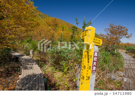 白馬乗鞍岳　天狗原の紅葉 34711980