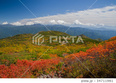 白馬乗鞍岳 天狗原の紅葉 白馬乗鞍岳 天狗原の紅葉 34711981