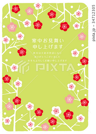 寒中お見舞い　枝梅 34712305