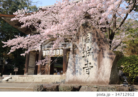 滋賀 春の三井寺 滋賀 春の三井寺 34712912
