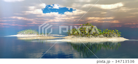 Tropical island with palms Tropical island with palms 34713536