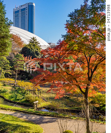 小石川後楽園 紅葉 小石川後楽園 紅葉 34713998