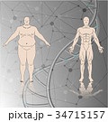 human chromosome 34715157
