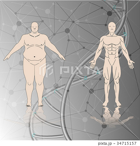 human chromosome human chromosome 34715157
