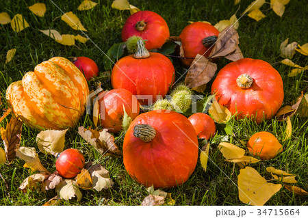 Pumpkin full of beautiful fall colors 34715664