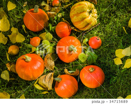 Pumpkin full of beautiful fall colors 34715689