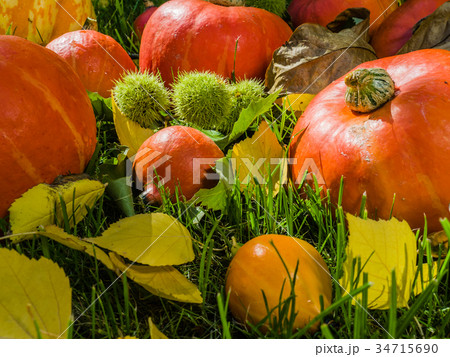 Pumpkin full of beautiful fall colors 34715690