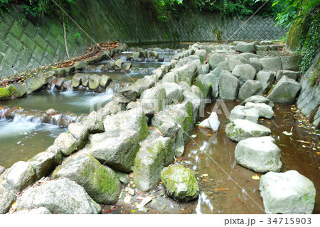 前田川遊歩道 横須賀市秋谷の風景_4 前田川遊歩道 横須賀市秋谷の風景_4 34715903