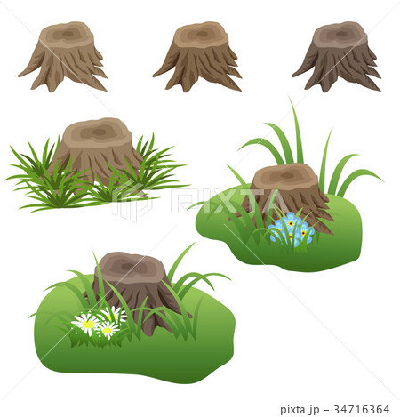 Set of tree stubs in grass and flowers Set of tree stubs in grass and flowers 34716364