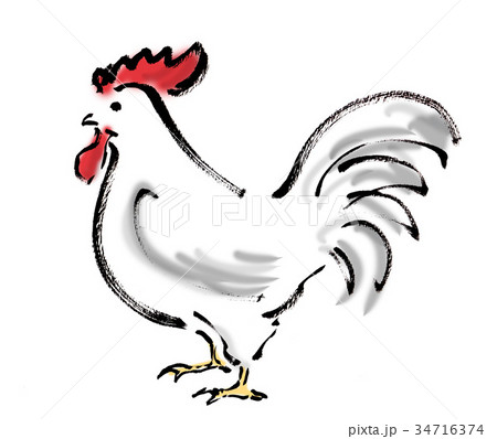 ニワトリ 34716374