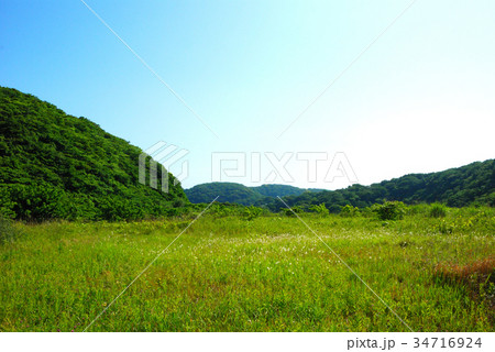 湘南国際村　横須賀市湘南国際村の風景_6 34716924