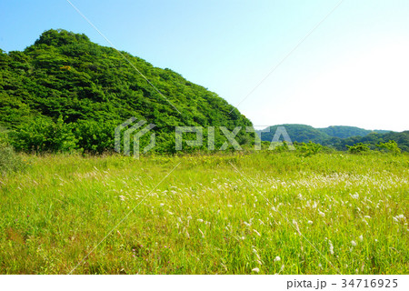 湘南国際村 横須賀市湘南国際村の風景_7 湘南国際村 横須賀市湘南国際村の風景_7 34716925
