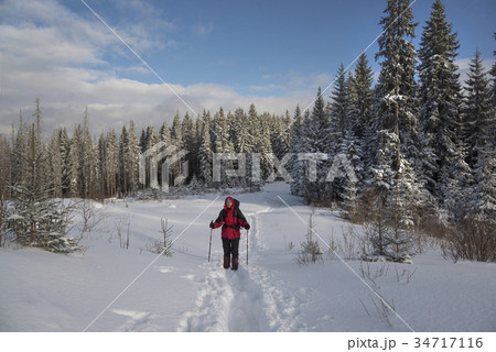 Winter hiking Winter hiking 34717116