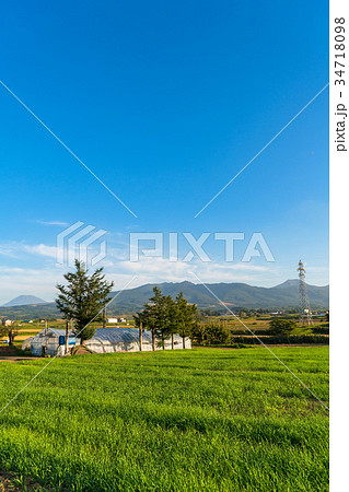《北海道》長閑な田園風景 34718098