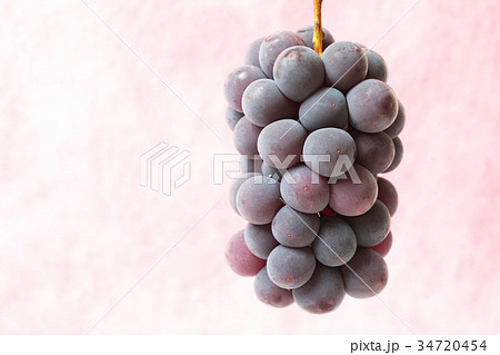 ぶどう(種無し巨峰) ぶどう(種無し巨峰) 34720454