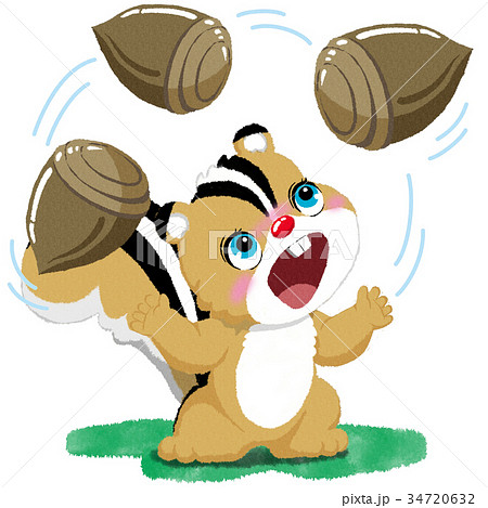 しまりすとドングリ 34720632