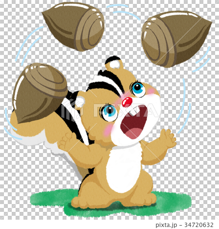 しまりすとドングリ 34720632