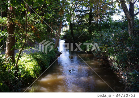 カッパ淵 カッパ淵 34720753