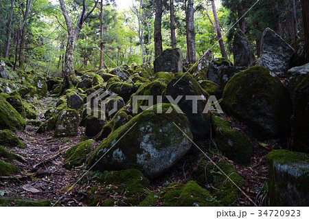 五百羅漢 34720923