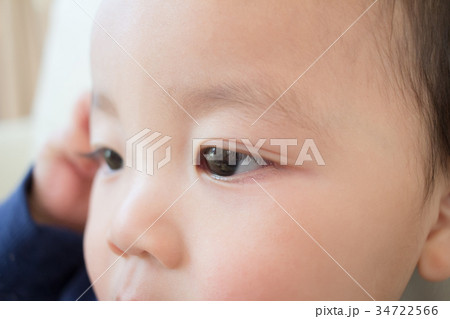 1 year old 1 year old 34722566