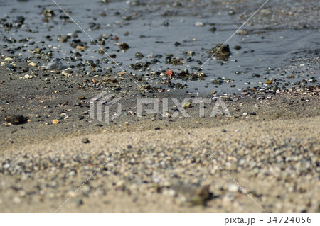 三浦半島 横須賀市漆山湾砂浜 三浦半島 横須賀市漆山湾砂浜 34724056