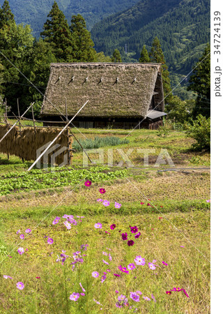 五箇山の合掌の里・相倉集落 34724139