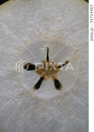 輪切りにした二十世紀梨のタネの部分 34724463